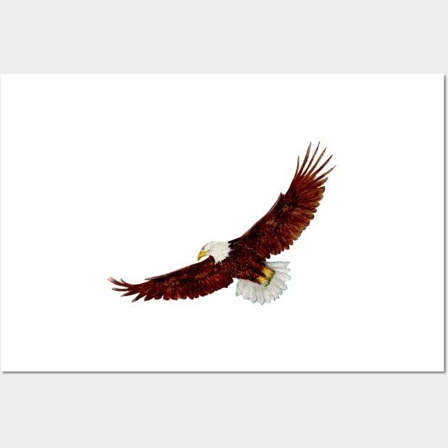 Flying eagle Wall Art by Kunst und Kreatives